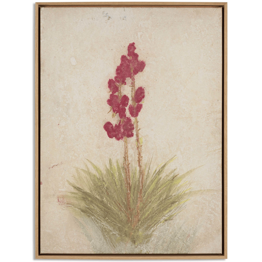 Yucca by Paul Meyer Mixed Media 253706-001 198394321402