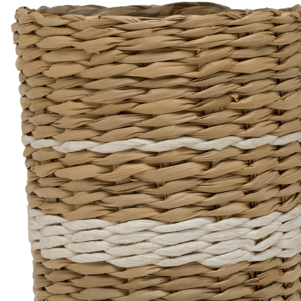 Zaley Glass (Pack of 6) Glassware