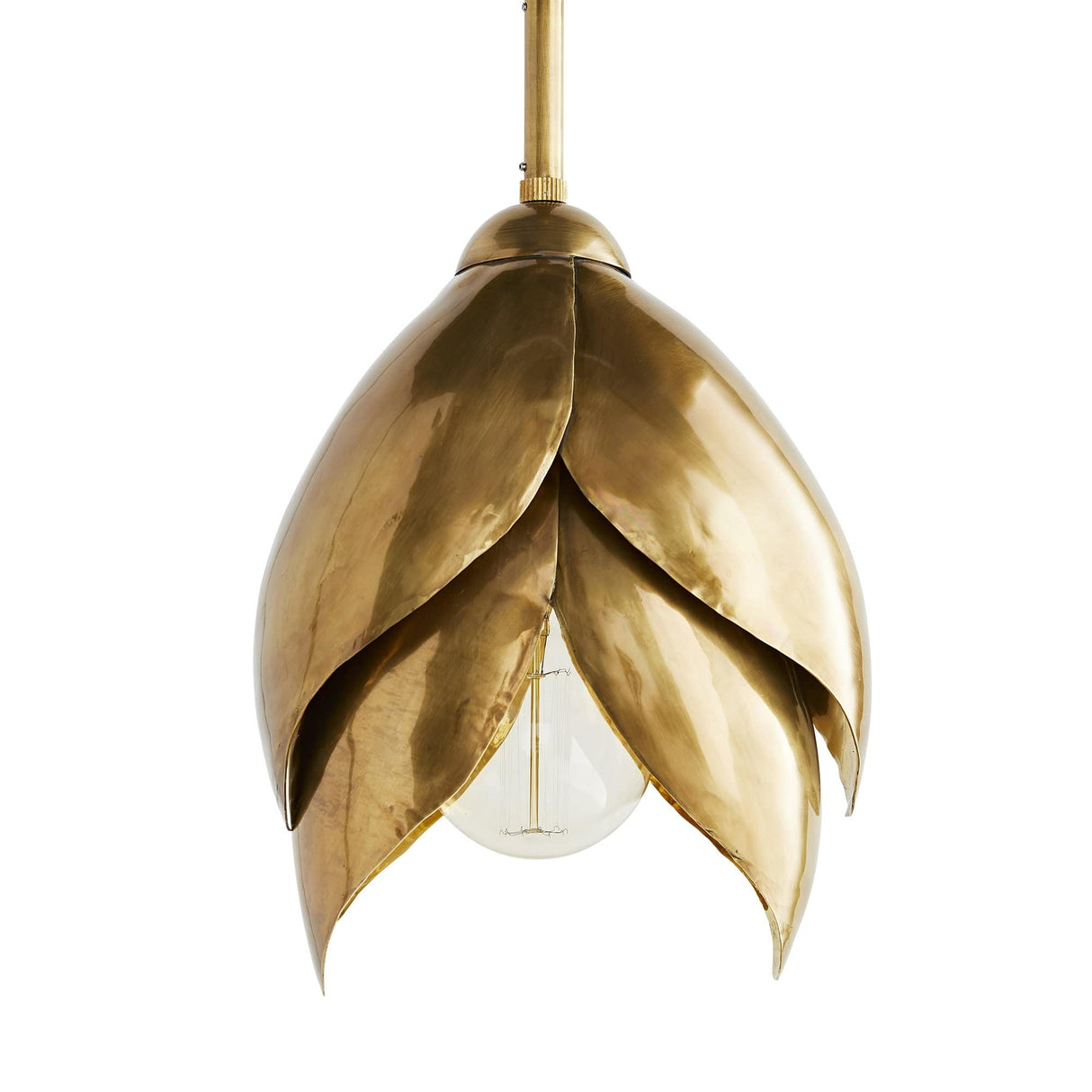 Arteriors Edith Pendant Lighting Arteriors-42081 00796505278401