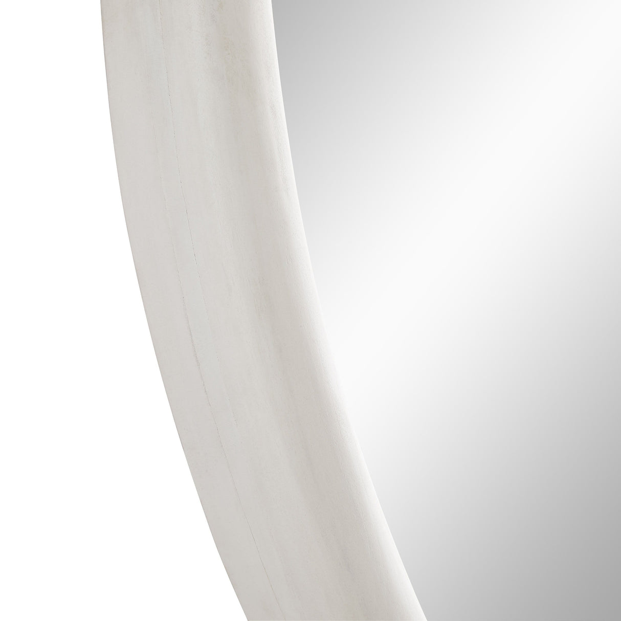 Arteriors Lesley Large Mirror Mirrors arteriors-4848 796505455789