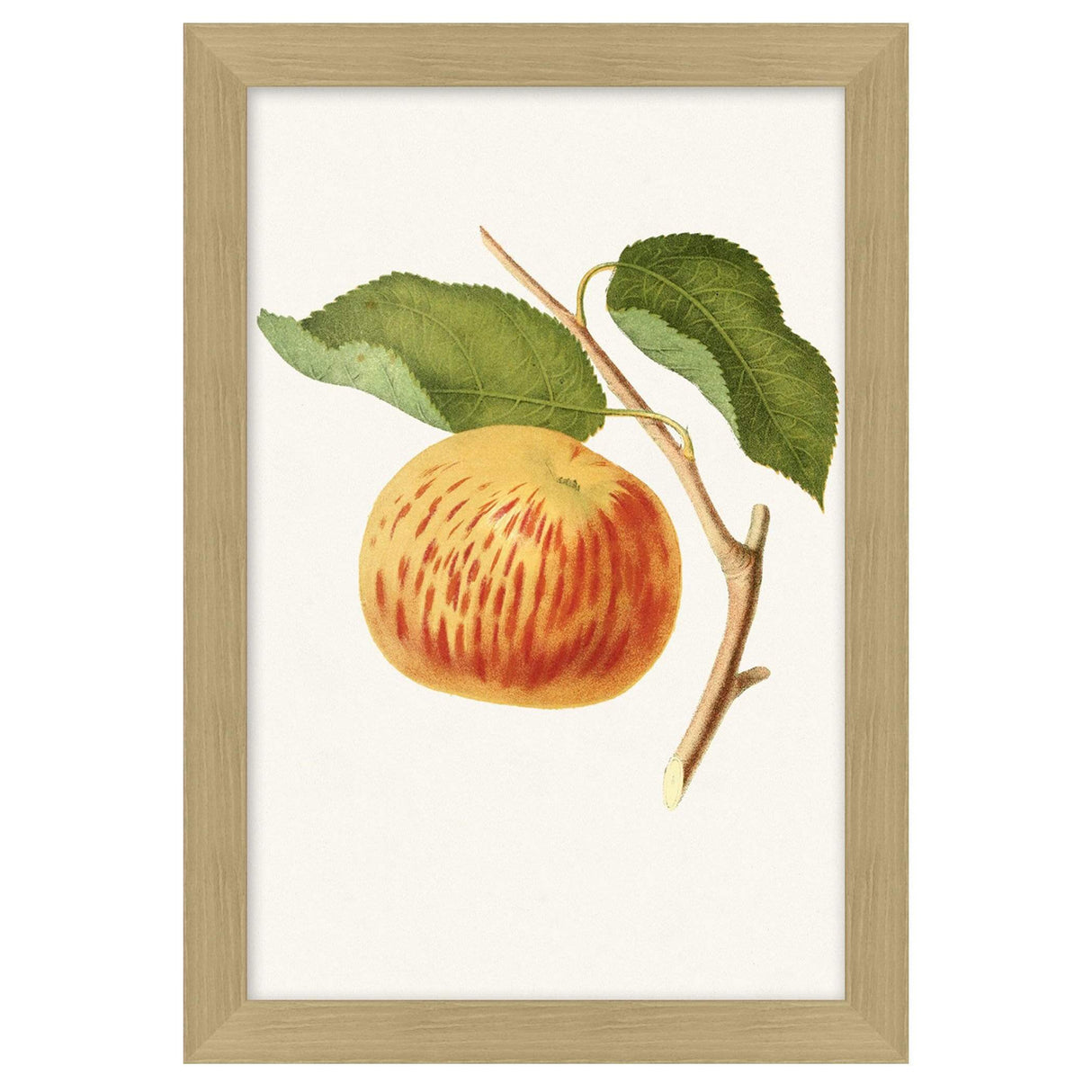 BLU ART Apple Branch Wall wendover-WTUR0413