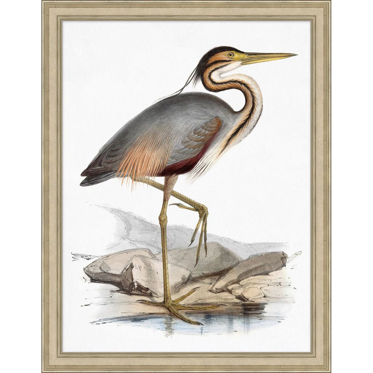 BLU ART Coastal Bird 4 Wall wendover-LA4085