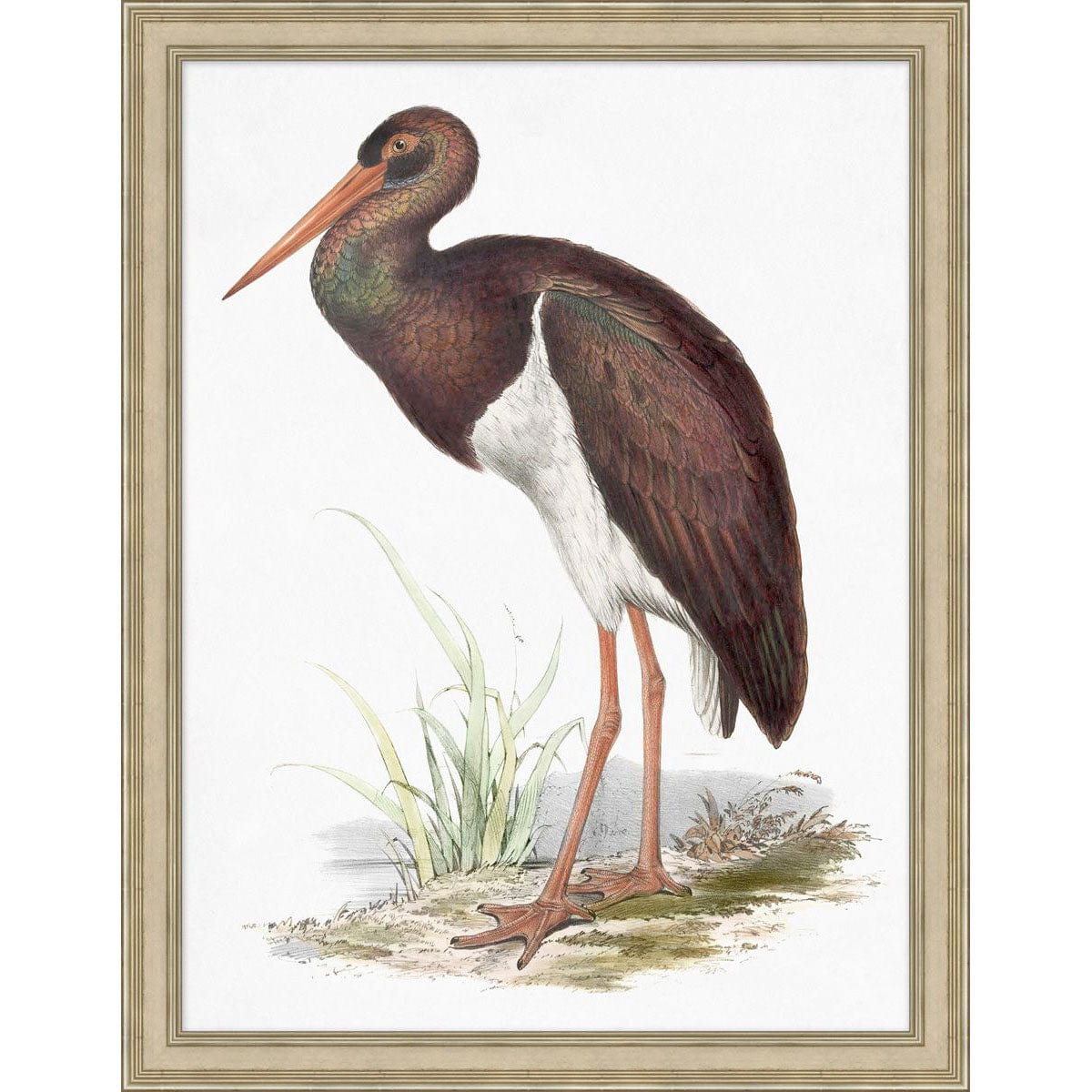 BLU ART Coastal Bird 5 Wall wendover-LA4086