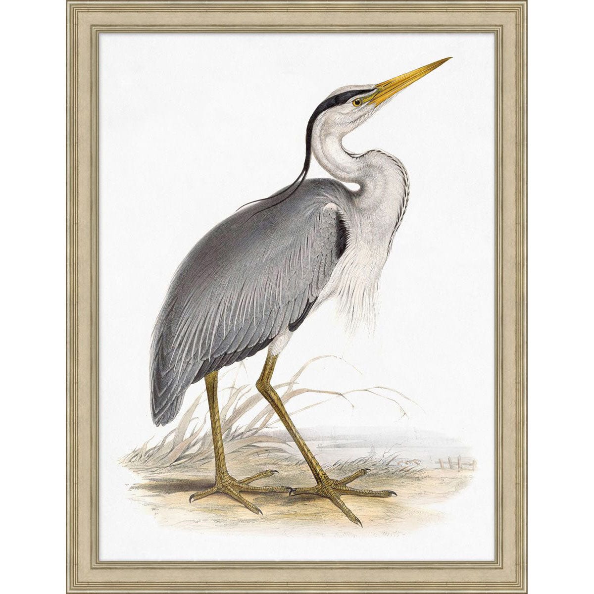 BLU ART Coastal Bird 6 Wall wendover-LA4087
