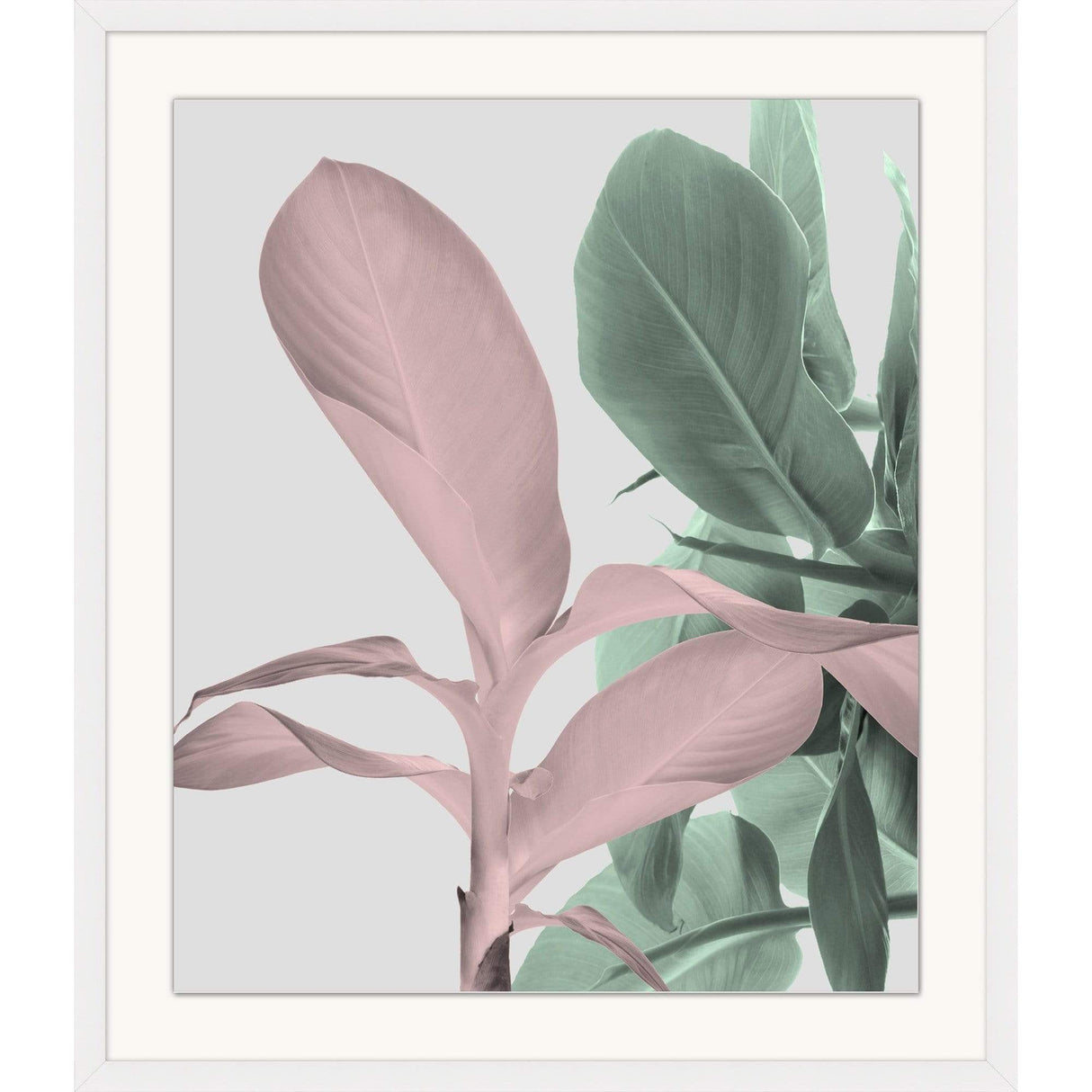 BLU ART Island Banana Plants Decor wendover-WNT1675