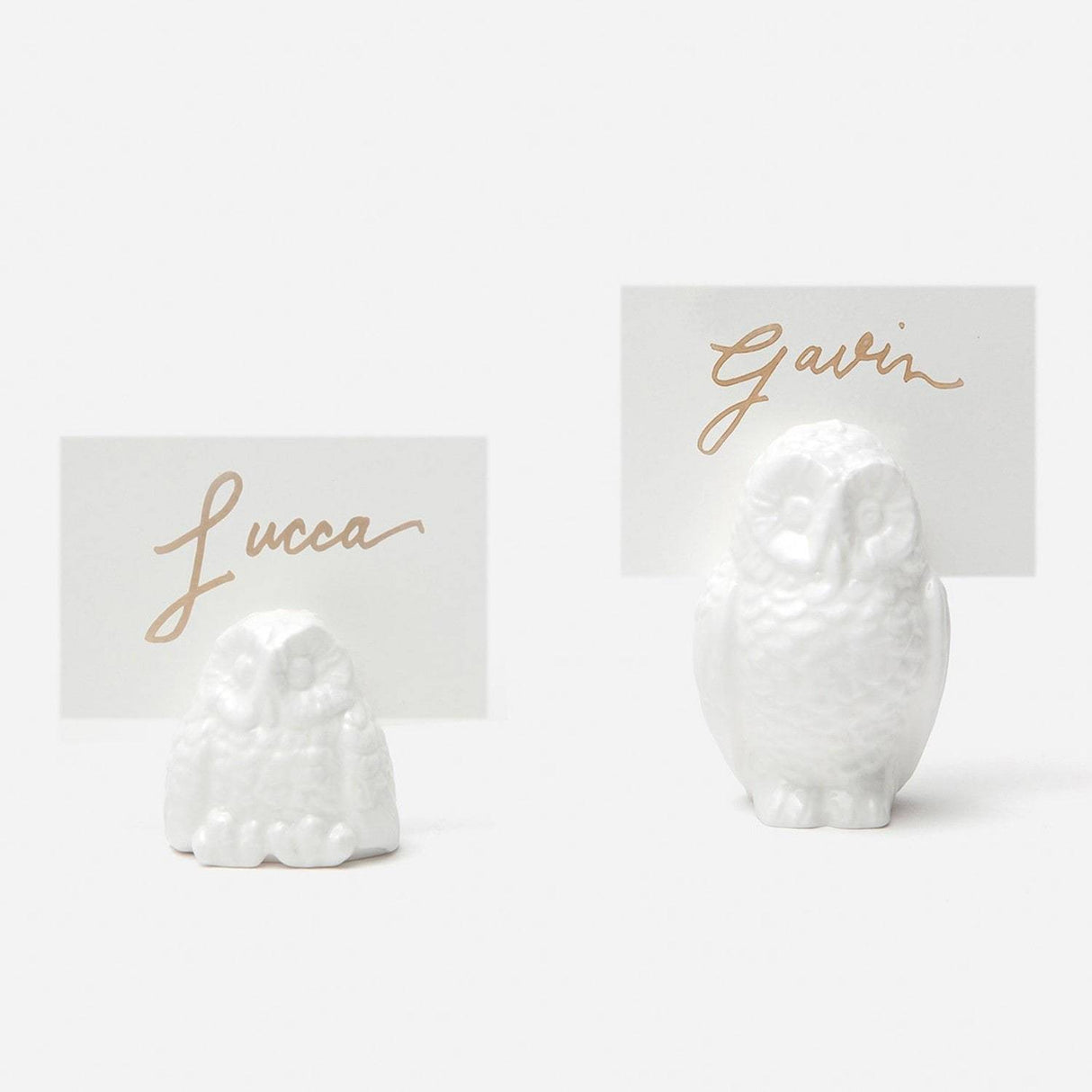 Blue Pheasant Alexander Card Holders (Set of 4) Decor