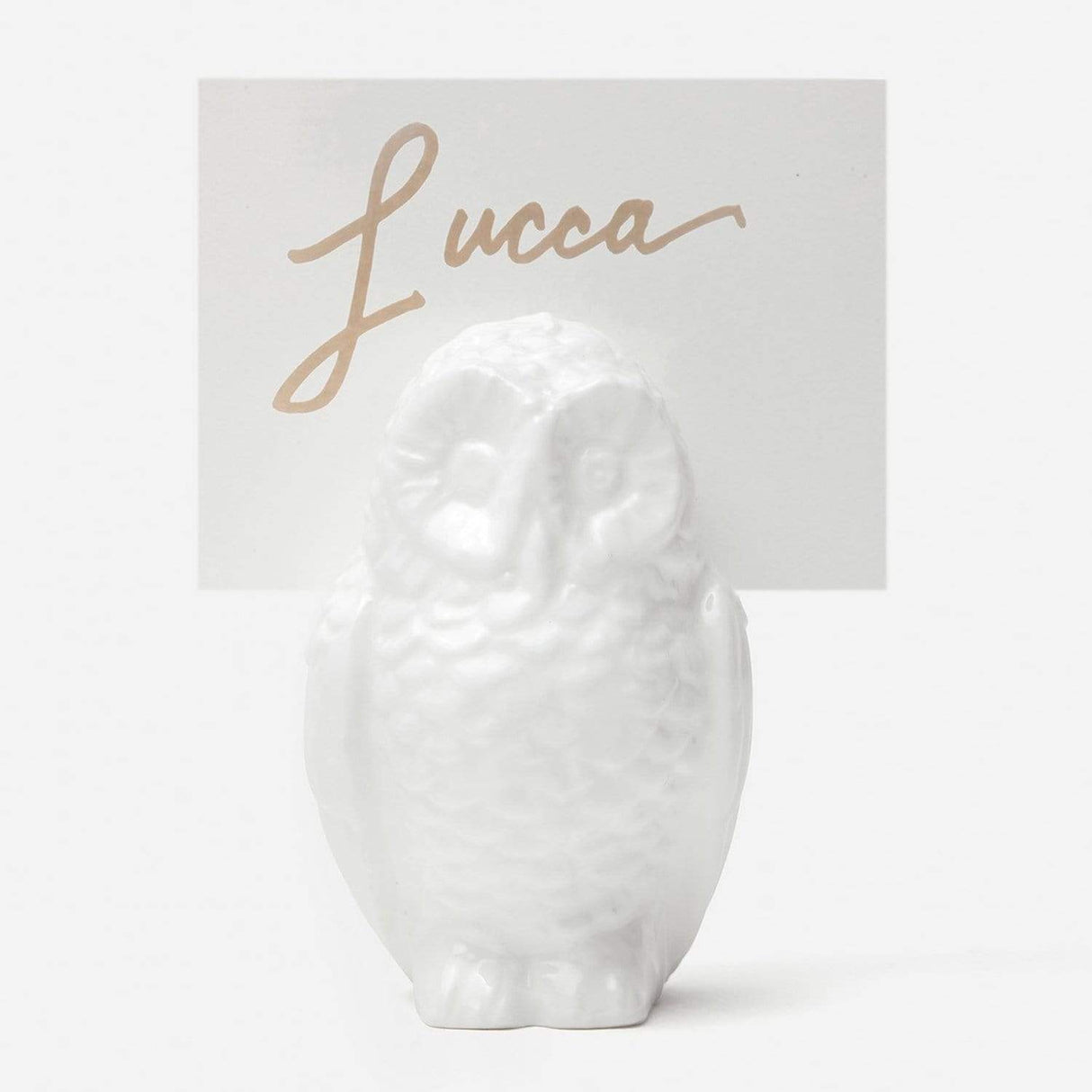 Blue Pheasant Alexander Card Holders (Set of 4) Decor