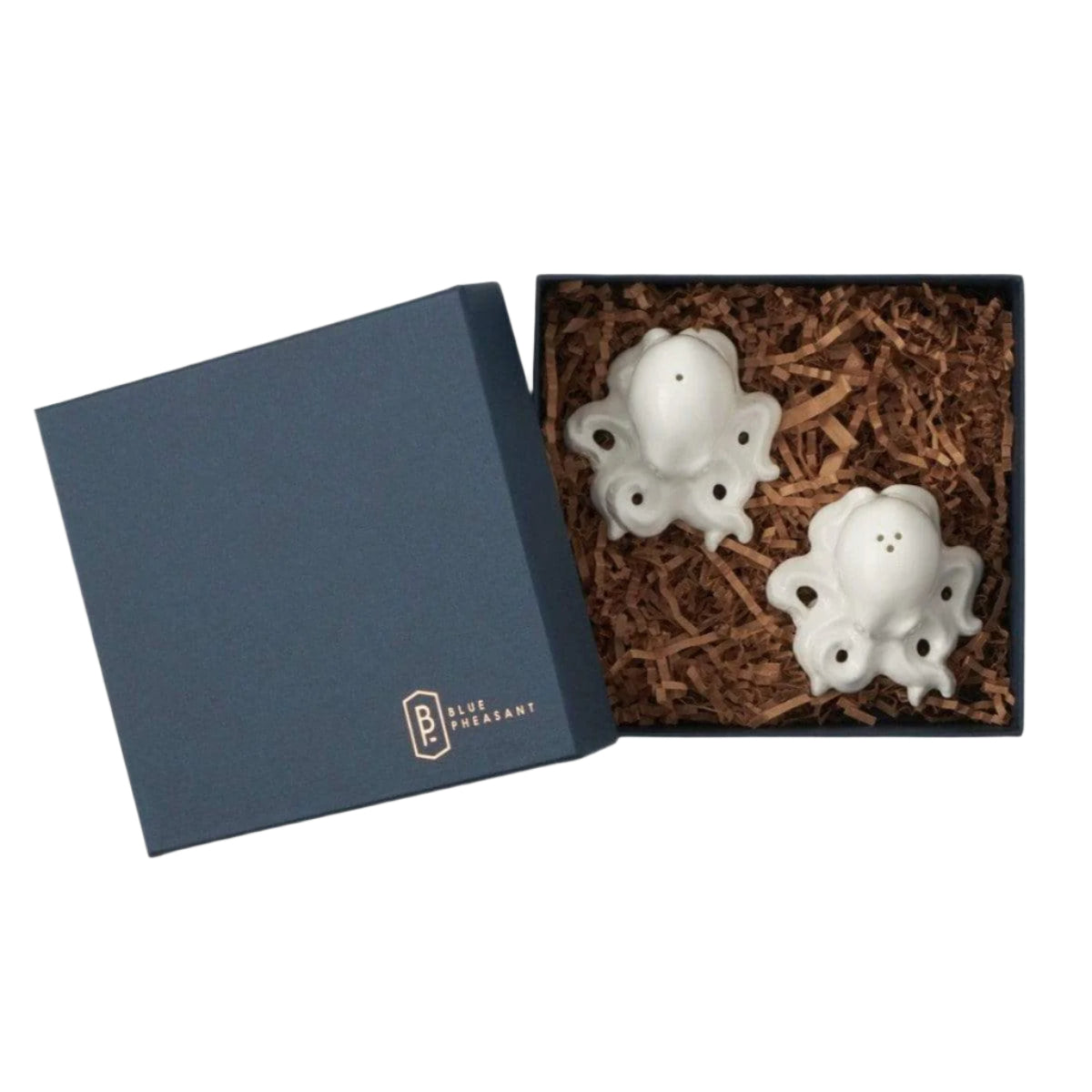 Blue Pheasant Barnes Salt & Pepper Shakers Set Pillow & Decor