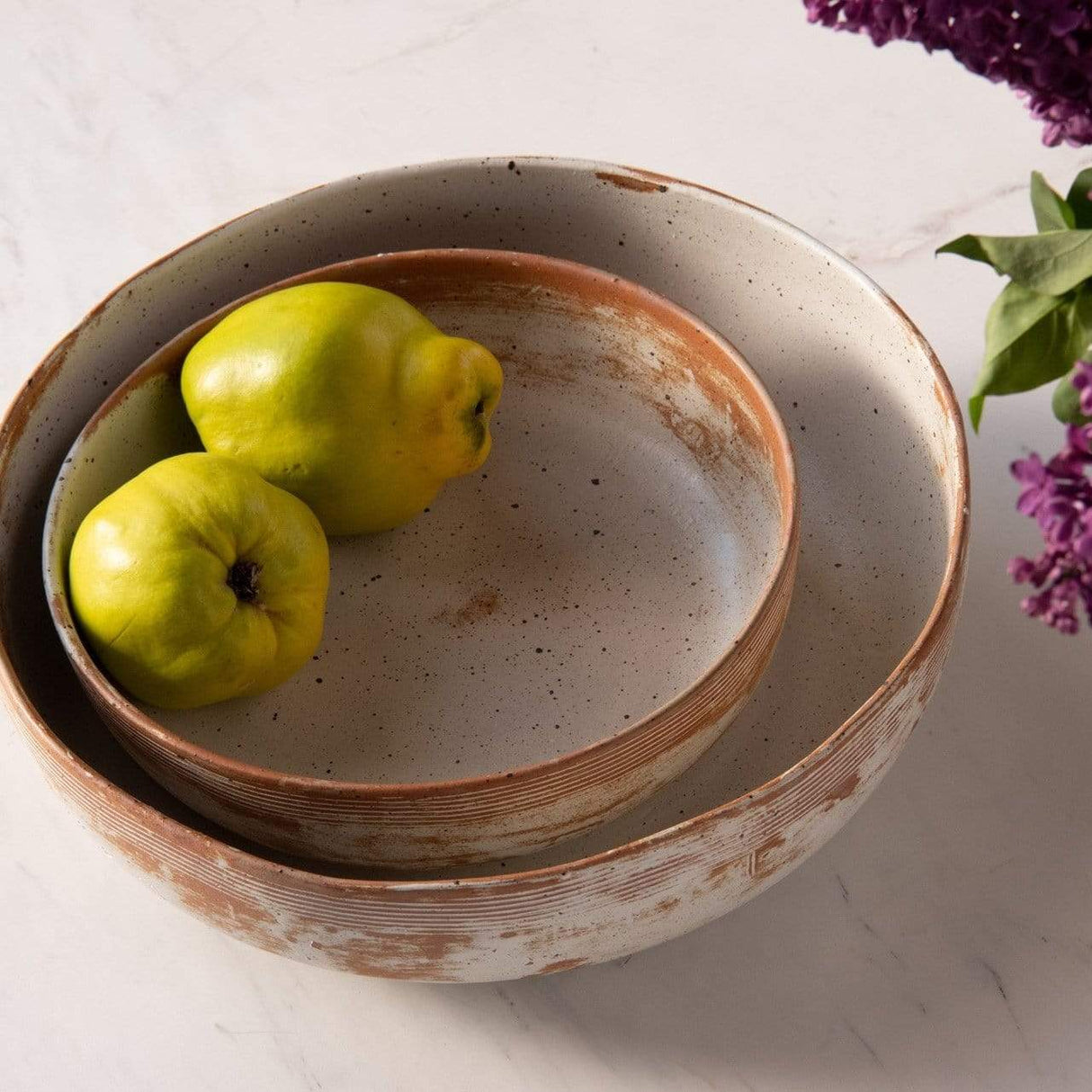 Blue Pheasant Dawson Round Serving Bowls (Pack of 2) - Rustic White Decor