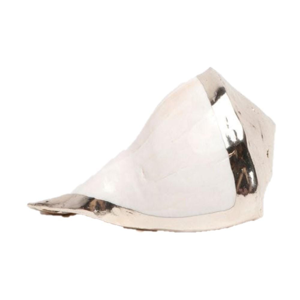 Blue Pheasant Jacob Shell (Set of 2) Pillow & Decor blue-pheasant-DECJACOB-NSL-OBJ