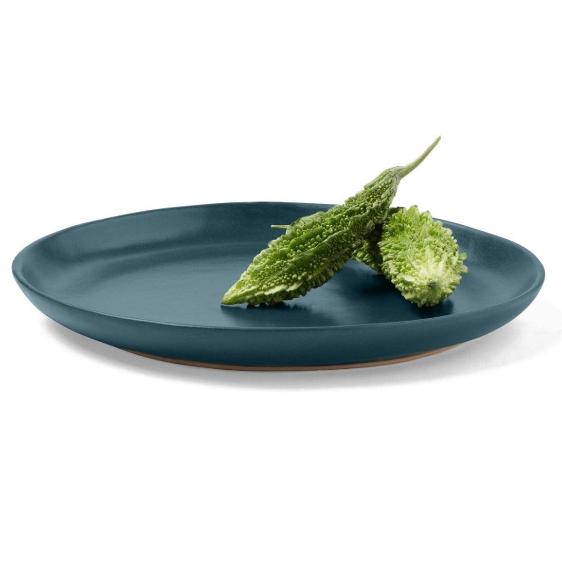 Blue Pheasant Marcus Dinnerware (Pack of 4) - Midnight Teal Pillow & Decor