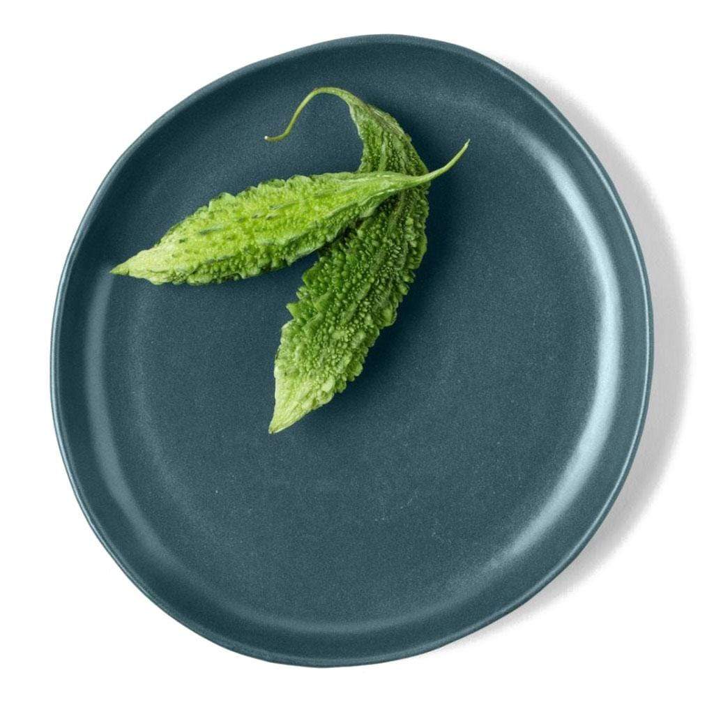 Blue Pheasant Marcus Dinnerware (Pack of 4) - Midnight Teal Pillow & Decor blue-pheasant-BP003274