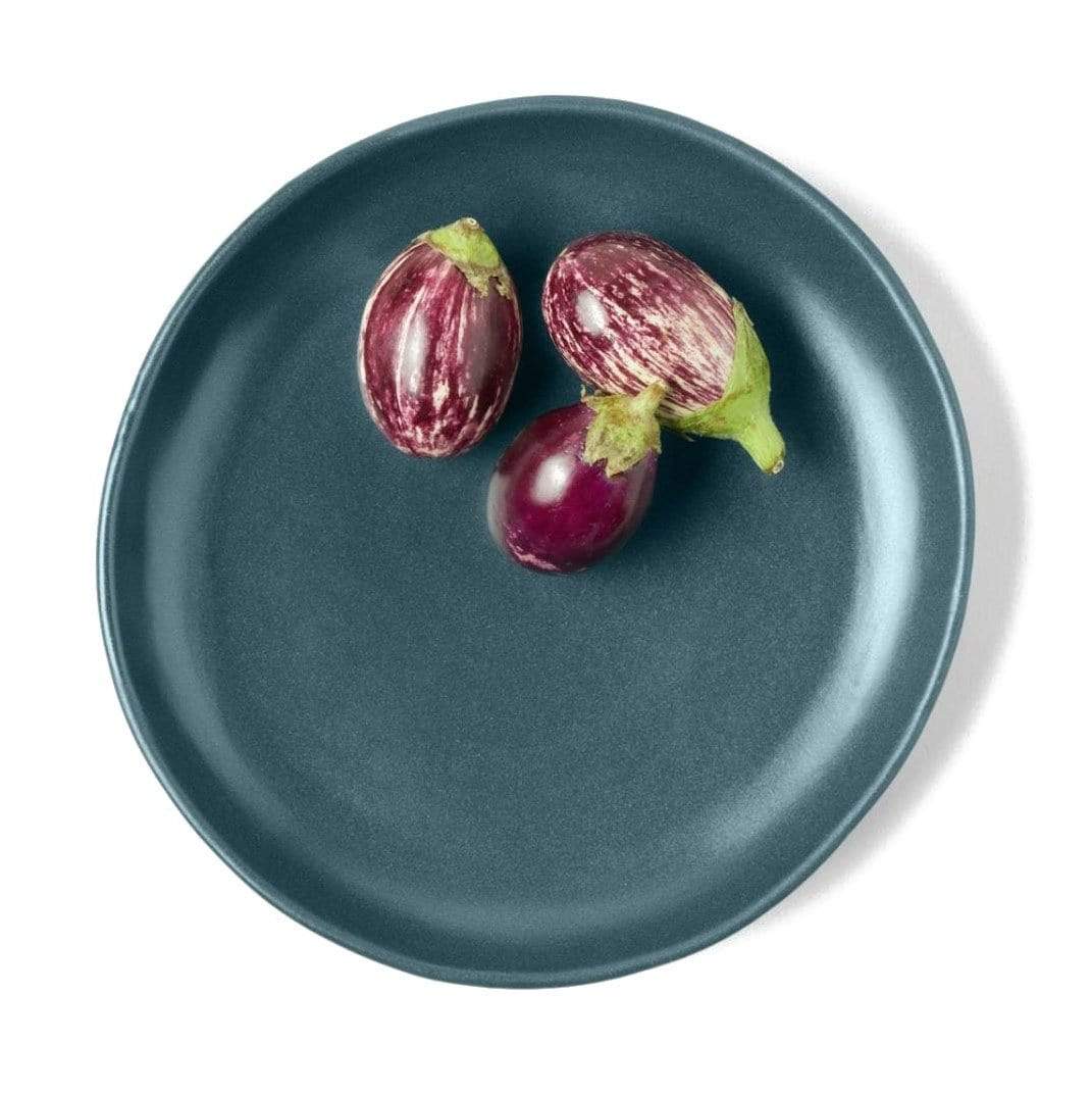 Blue Pheasant Marcus Midnight Teal Dinnerware (Pack of 4) Pillow & Decor blue-pheasant-BP003275