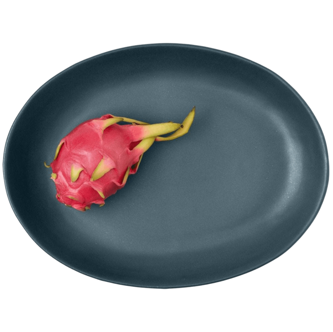 Blue Pheasant Marcus Oval Serving Platter (Pack of 2) - Midnight Teal Pillow & Decor blue-pheasant-BP003352