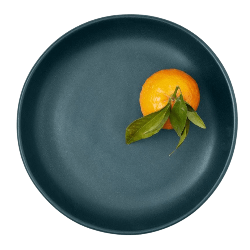 Blue Pheasant Marcus Round Serving Bowl (Pack of 2) - Midnight Teal Pillow & Decor