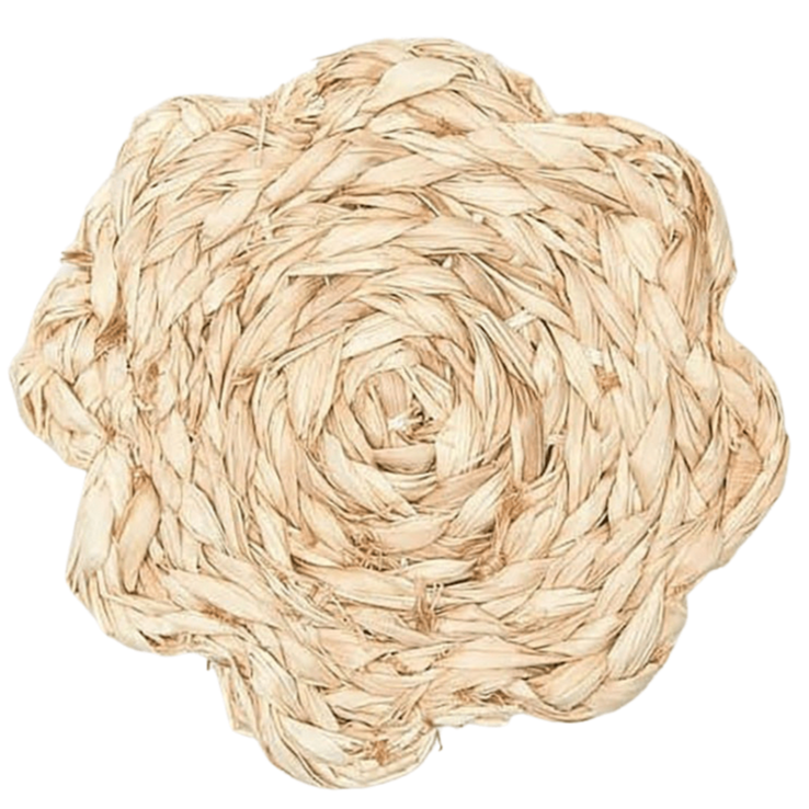 Blue Pheasant Vera Coaster Set Decor