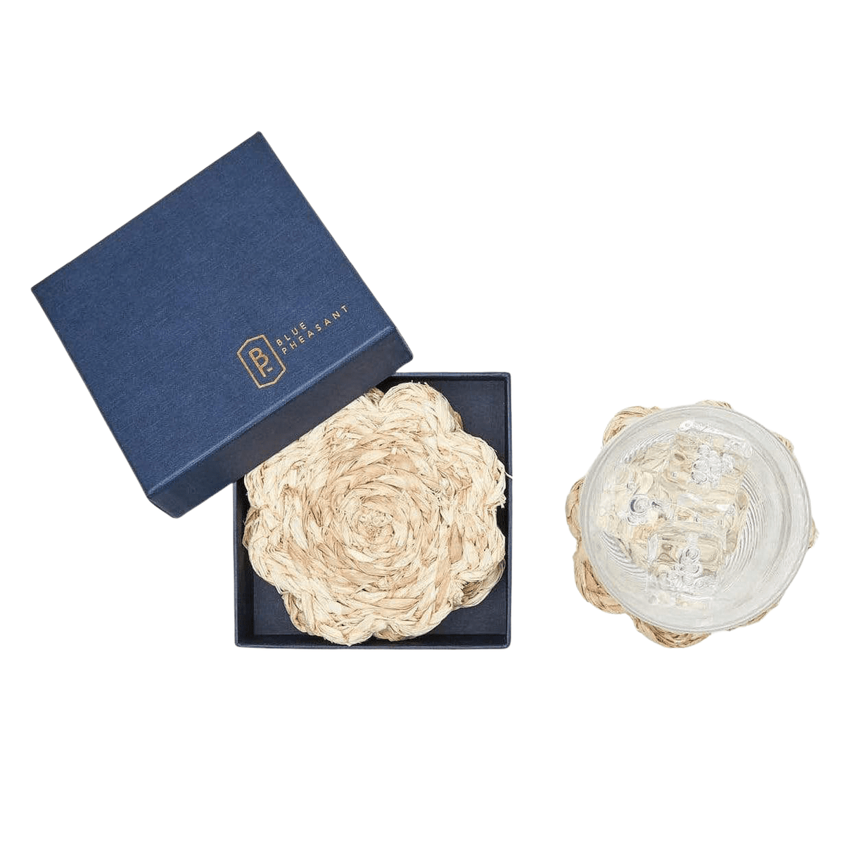 Blue Pheasant Vera Coaster Set Decor