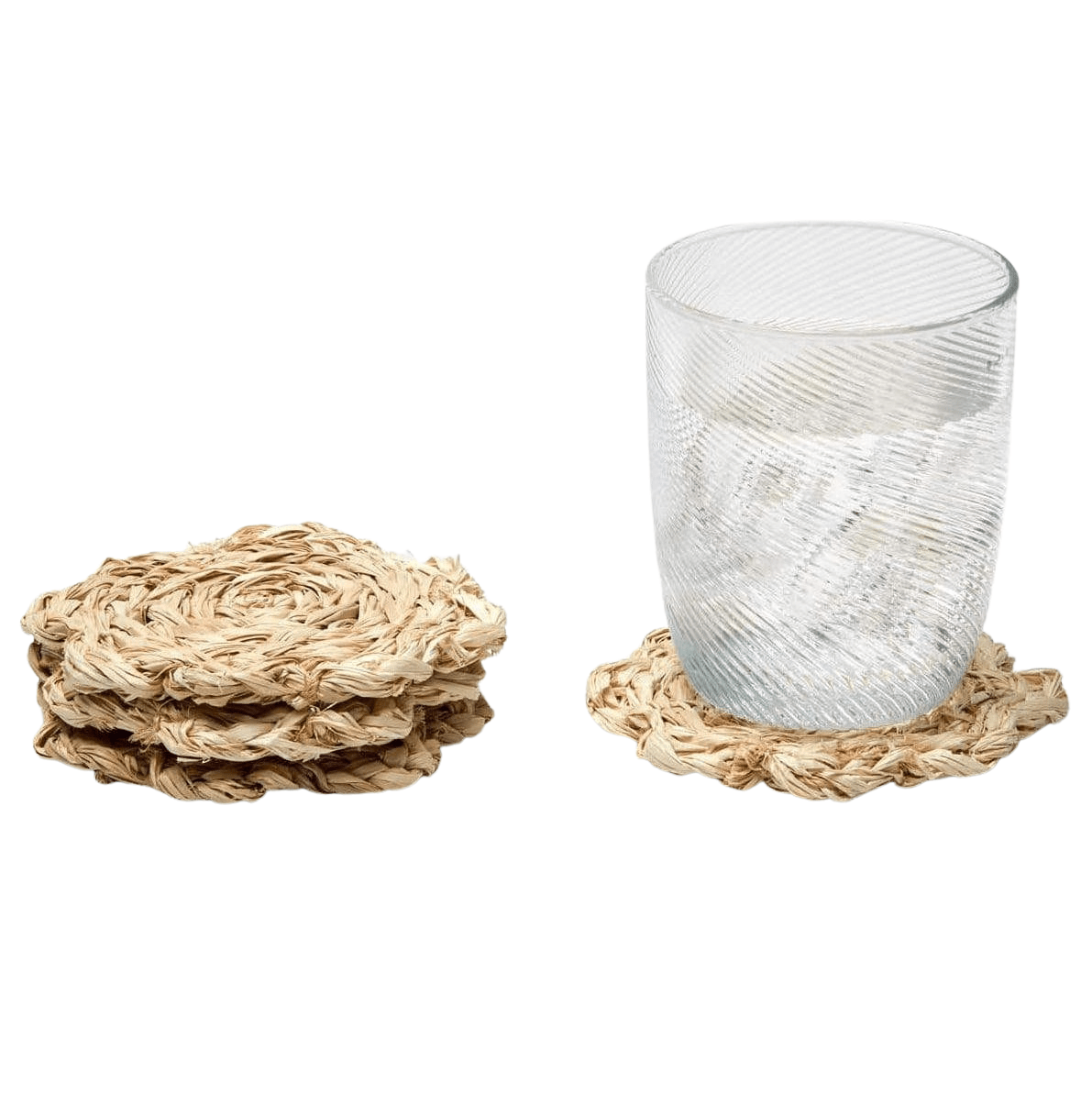 Blue Pheasant Vera Coaster Set Decor