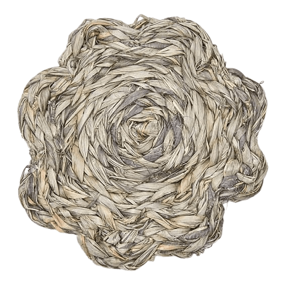 Blue Pheasant Vera Coaster Set Decor