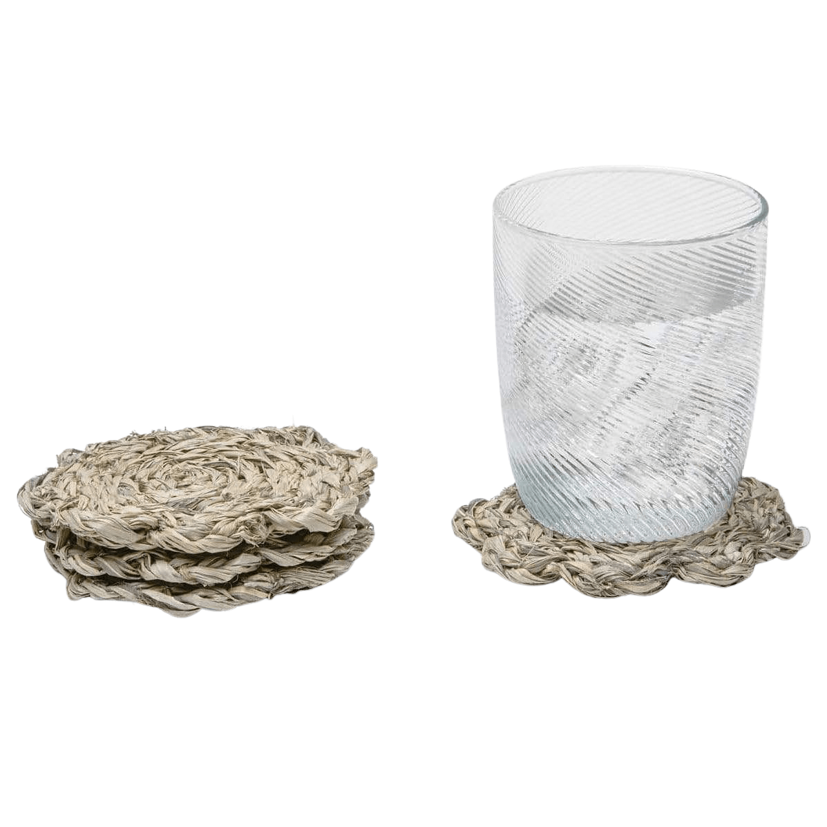 Blue Pheasant Vera Coaster Set Decor