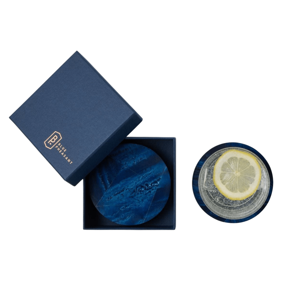 Blue Pheasant Vincent Coasters (Set of 4) Pillow & Decor