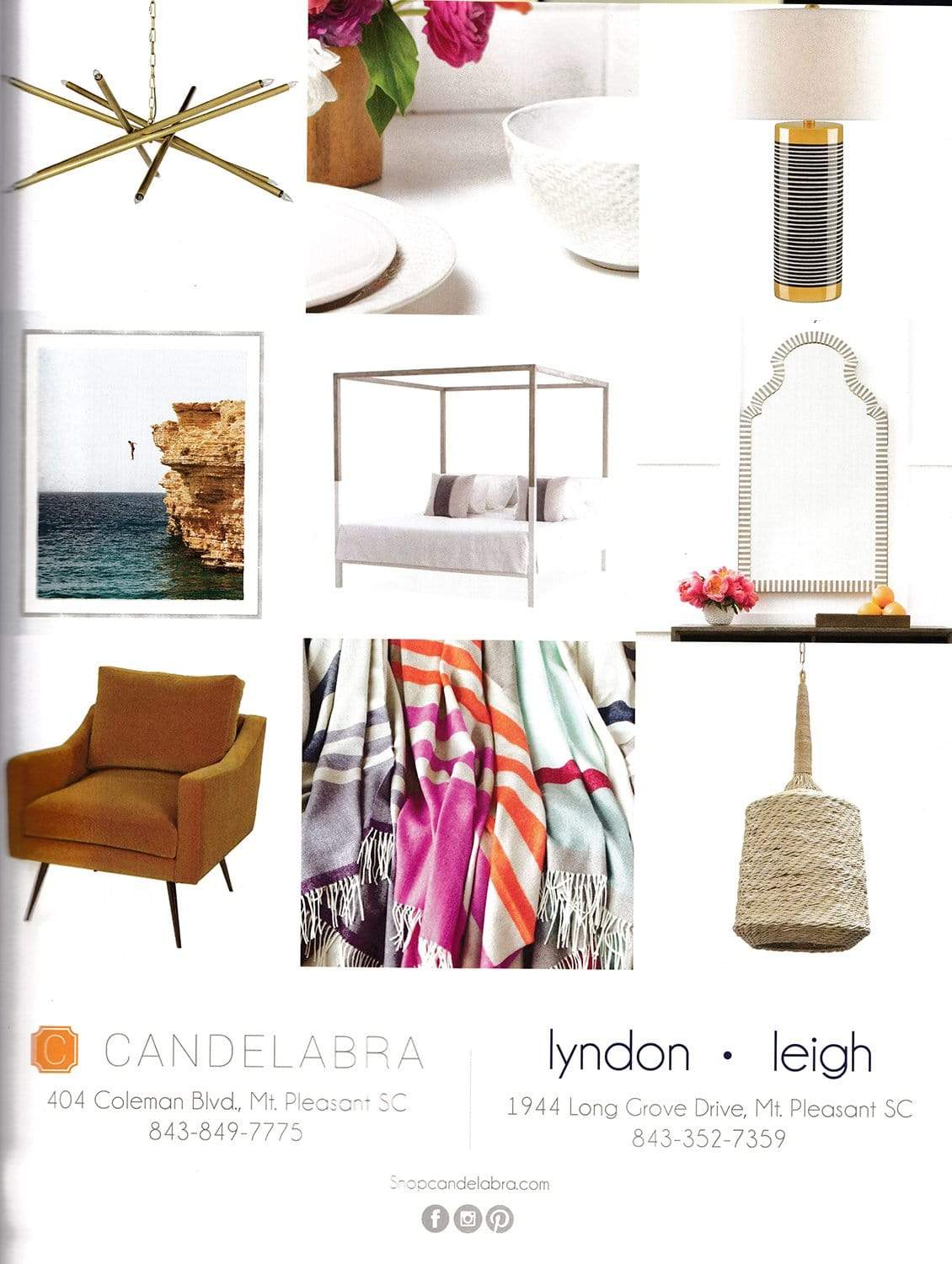 Blue Pheasant Vivienne Collection (Pack of 4) - Cream Decor