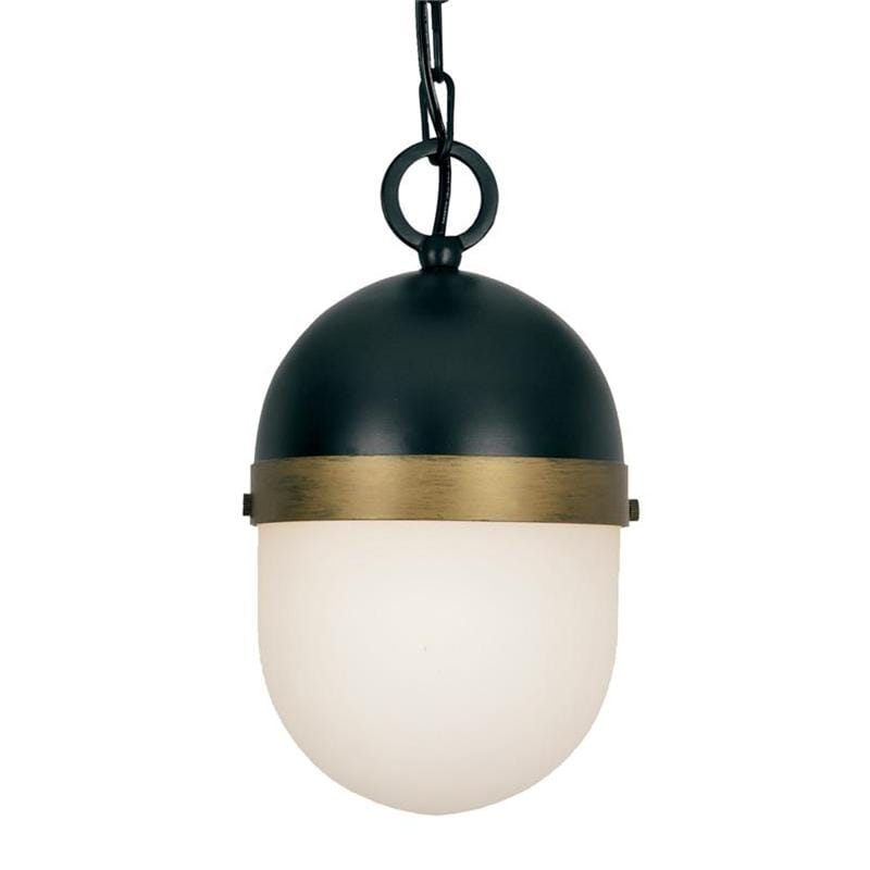 Brian Patrick Flynn for Crystorama Capsule Outdoor 1 Light Pendant Lighting crystorama-CAP-8505-MK-TG 00633779035708