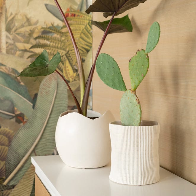 Villa & House Corum Cache Pot Pillow & Decor villa-house-CRM-700-109