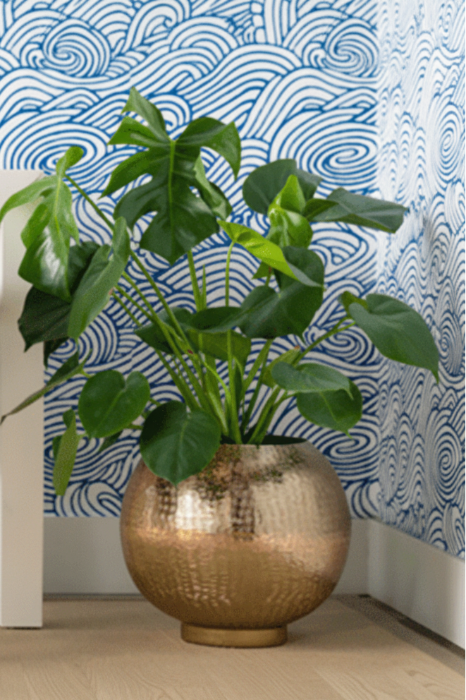 Villa & House Mali Cache Pot Pillow & Decor