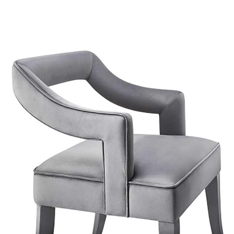 Candelabra Home Tiffany Velvet Chair - Grey Furniture TOV-A210 00806810354728