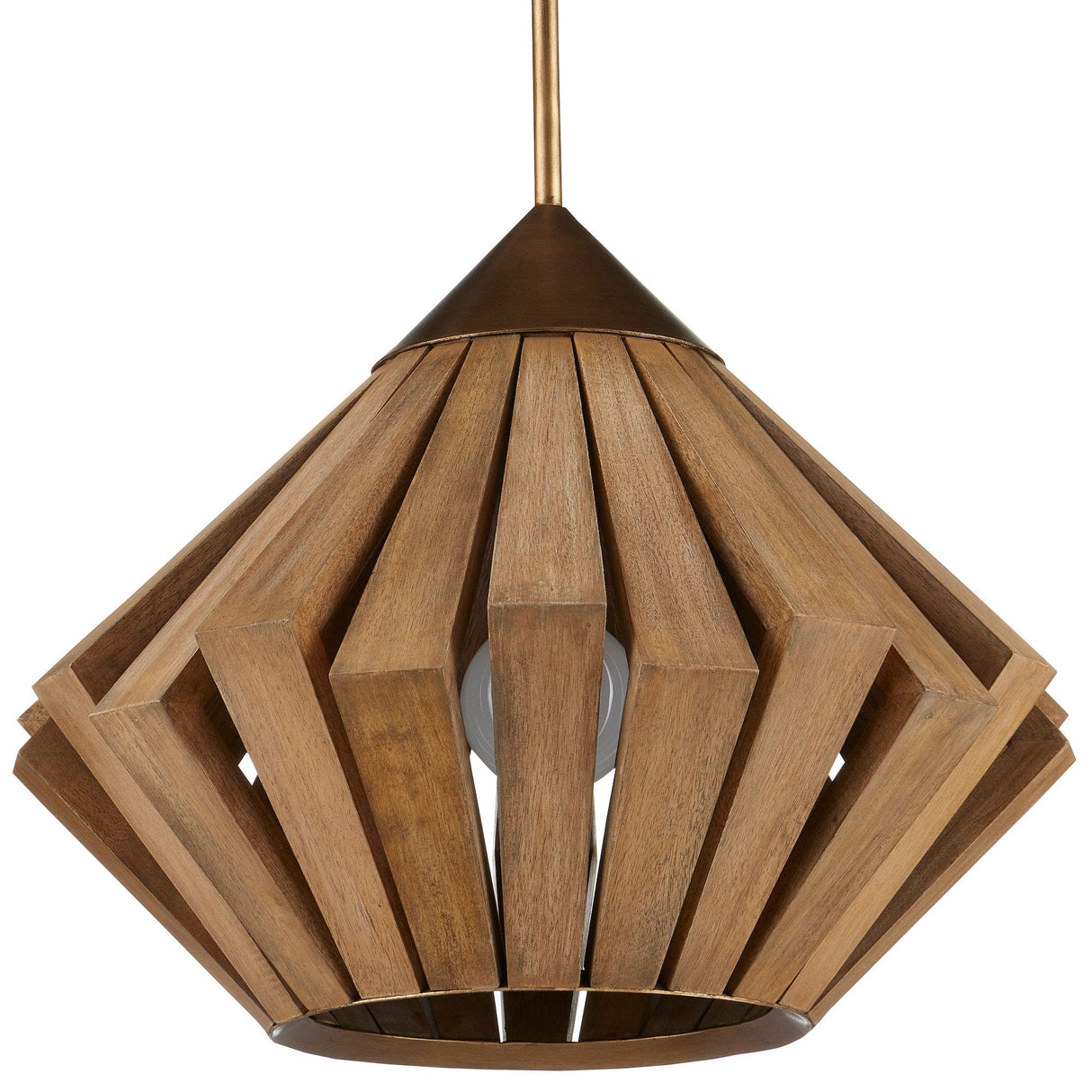 Currey & Company Plunge Pendant Lighting currey-co-9000-0995