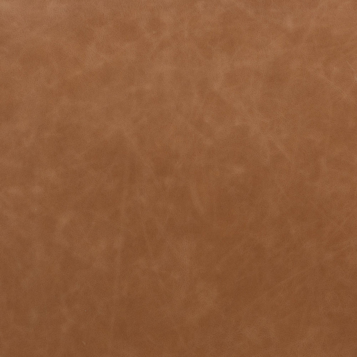 Four Hands Amare Dining Chair (Set of 2) Furniture four-hands-227404-001 801542687991