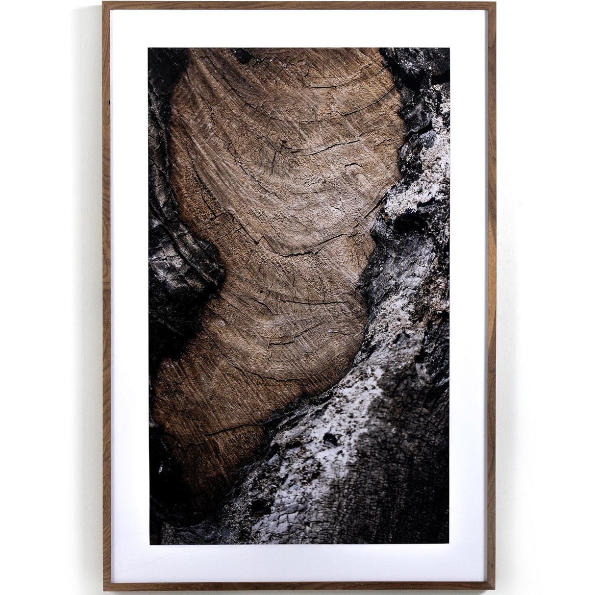 Four Hands Char VI Artwork four-hands-234452-002