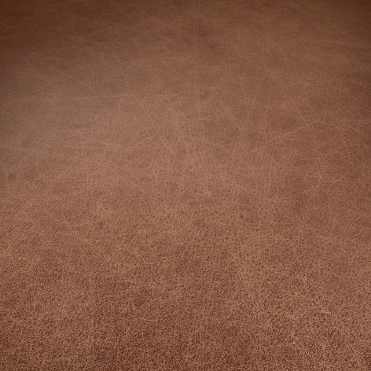 Four Hands Fae Dining Chair Furniture