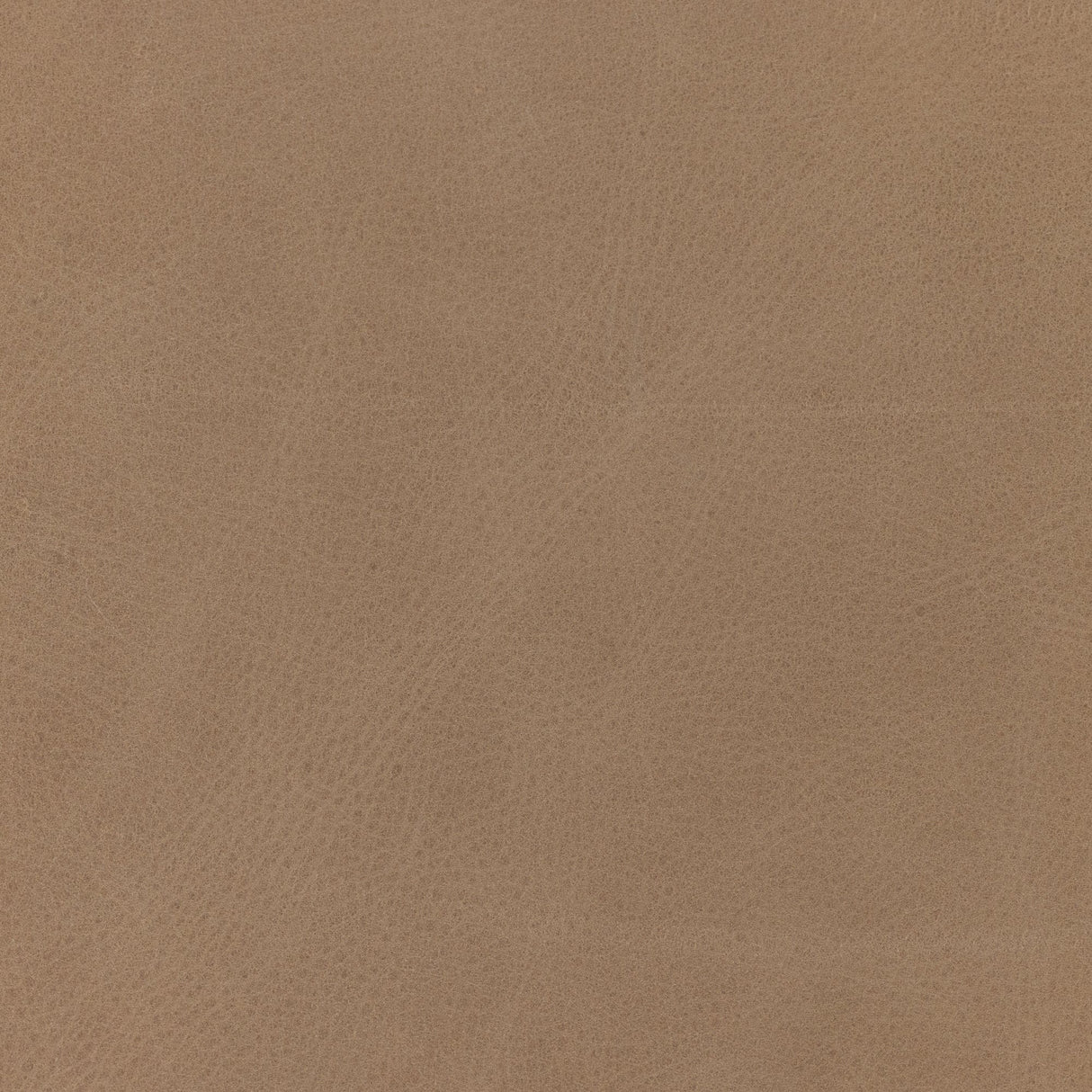 Four Hands Fae Dining Chair Furniture