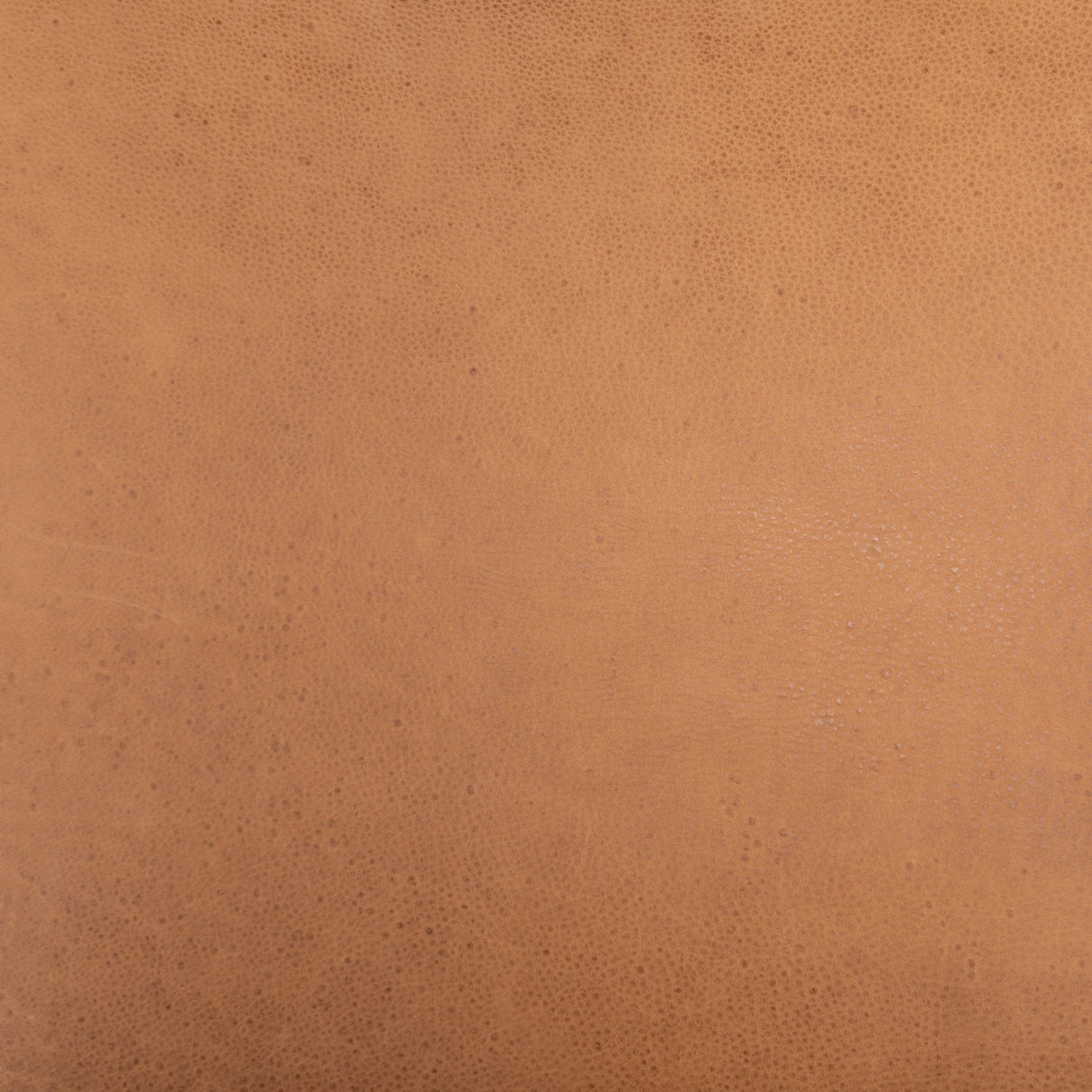 Four Hands Monza Dining Chair Furniture four-hands-226725-004 801542740221