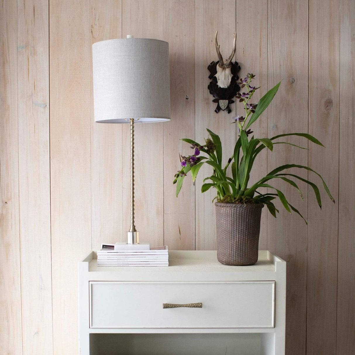 Gabby Addie Table Lamp Lighting gabby-SCH-156035 00842728107971