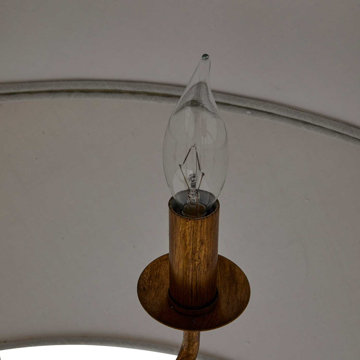 Gabby Soma Pendant Lighting gabby-SCH-166020 842728119332