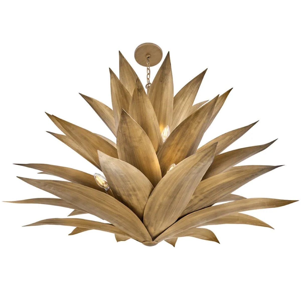 Hinkley Lighting Agave Pendant Lighting