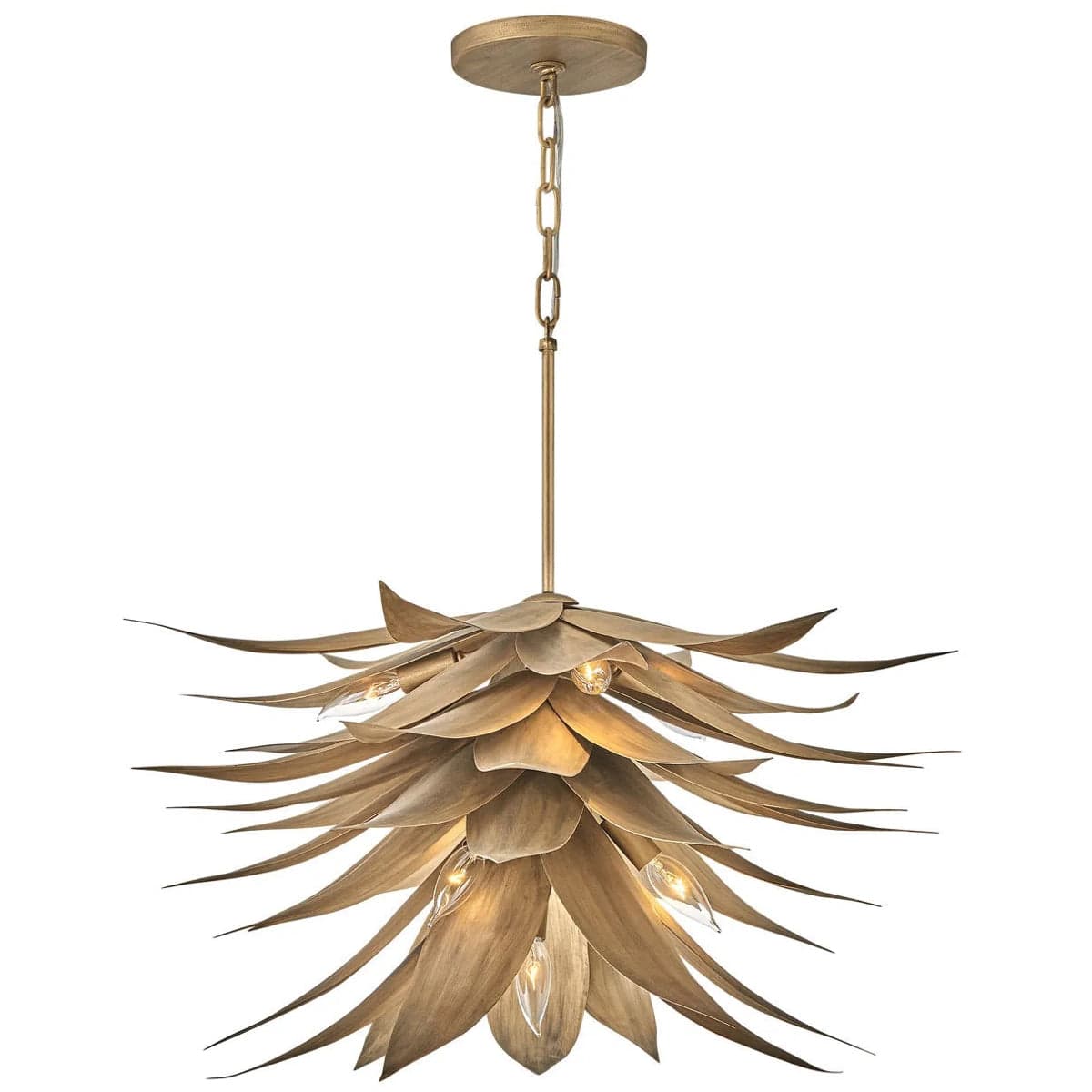 Hinkley Lighting Agave Pendant Lighting