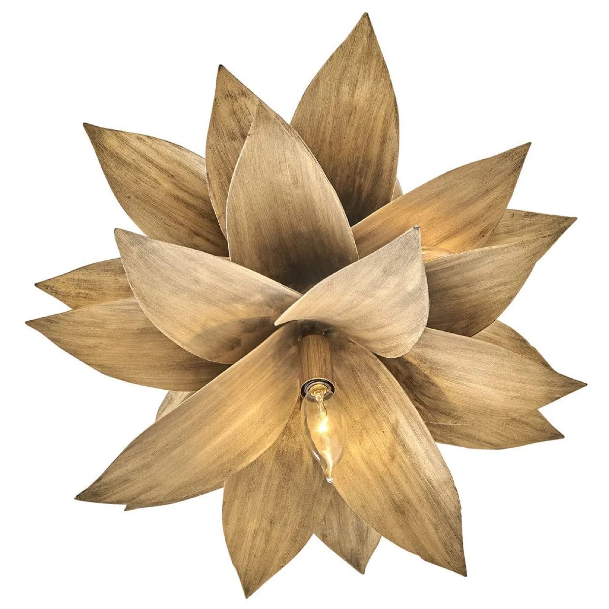 Hinkley Lighting Agave Pendant Lighting