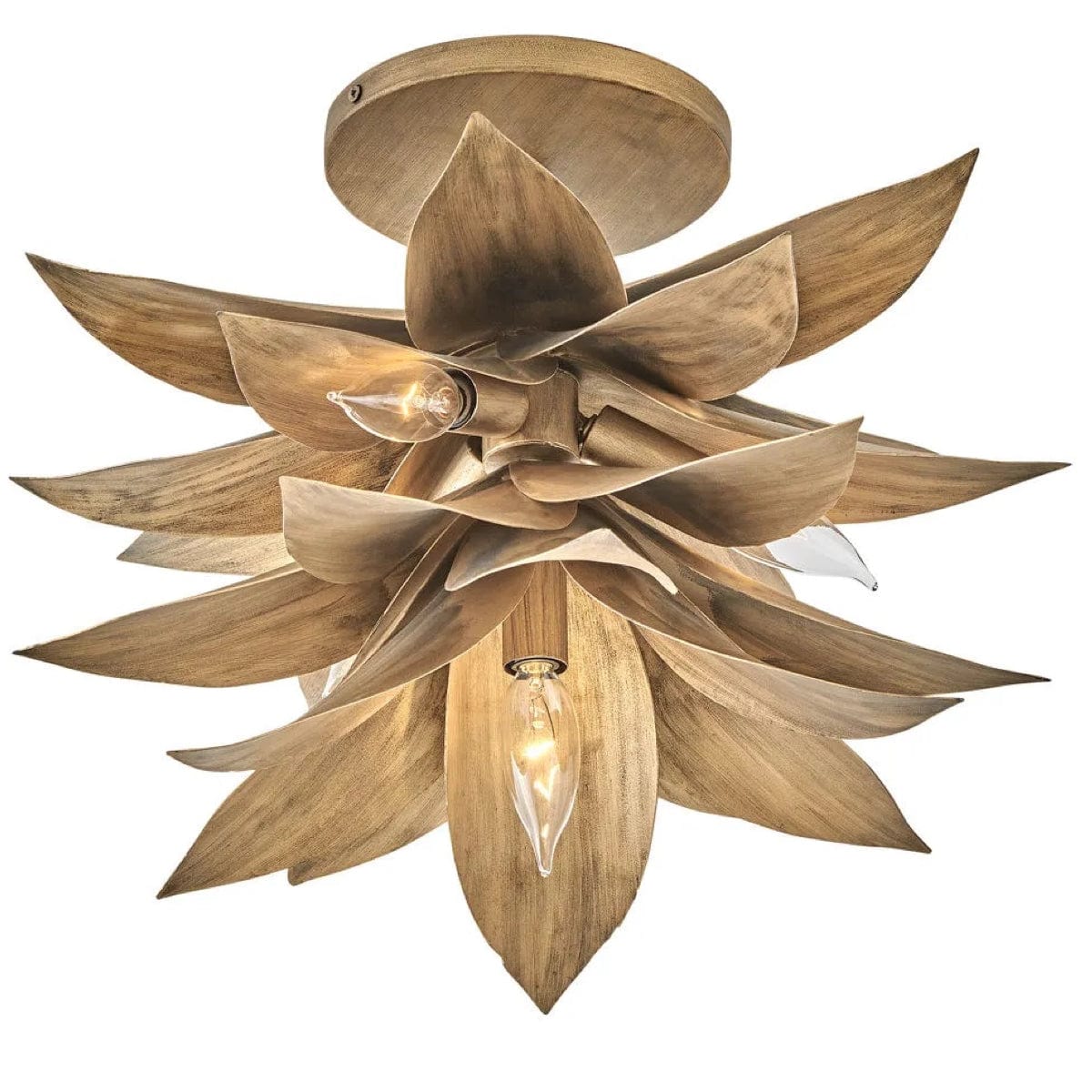 Hinkley Lighting Agave Pendant Lighting