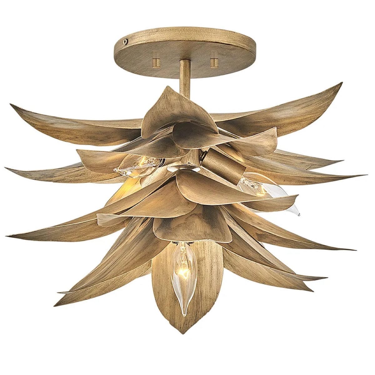 Hinkley Lighting Agave Pendant Lighting