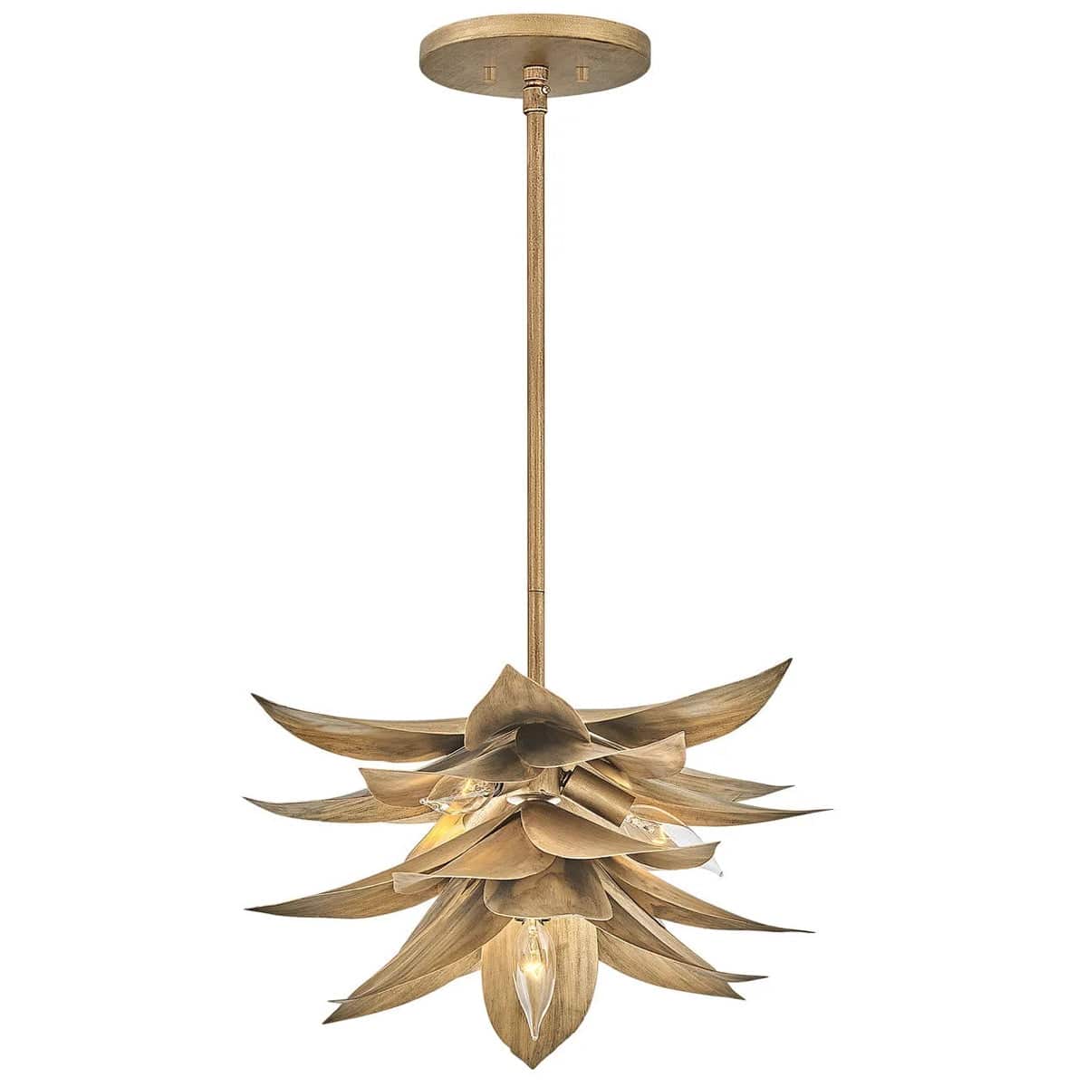 Hinkley Lighting Agave Pendant Lighting