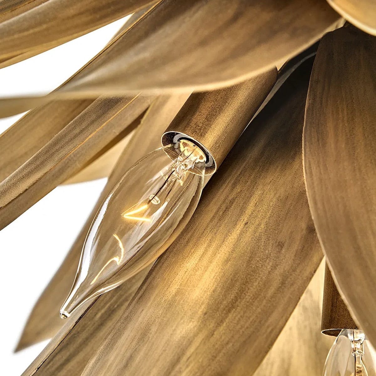 Hinkley Lighting Agave Pendant Lighting