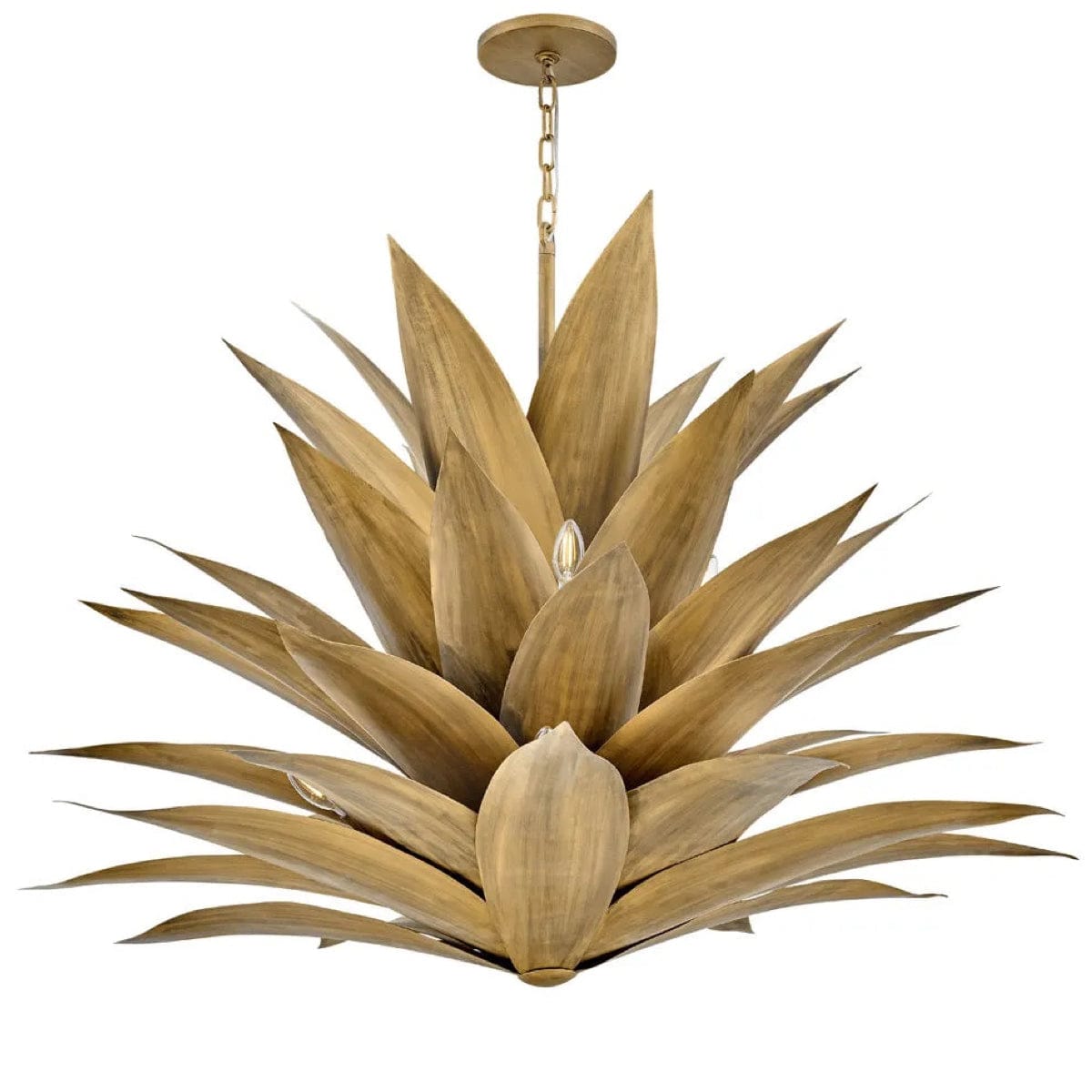 Hinkley Lighting Agave Pendant Lighting hinkley-FR30816BNG