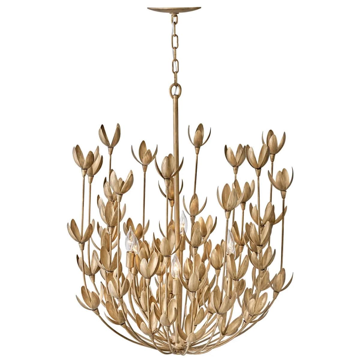 Hinkley Lighting Flora Multi Tier Chandelier Lighting