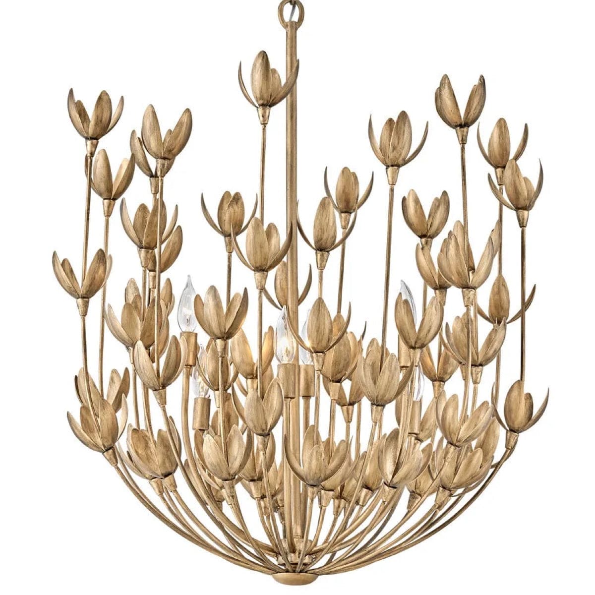 Hinkley Lighting Flora Multi Tier Chandelier Lighting