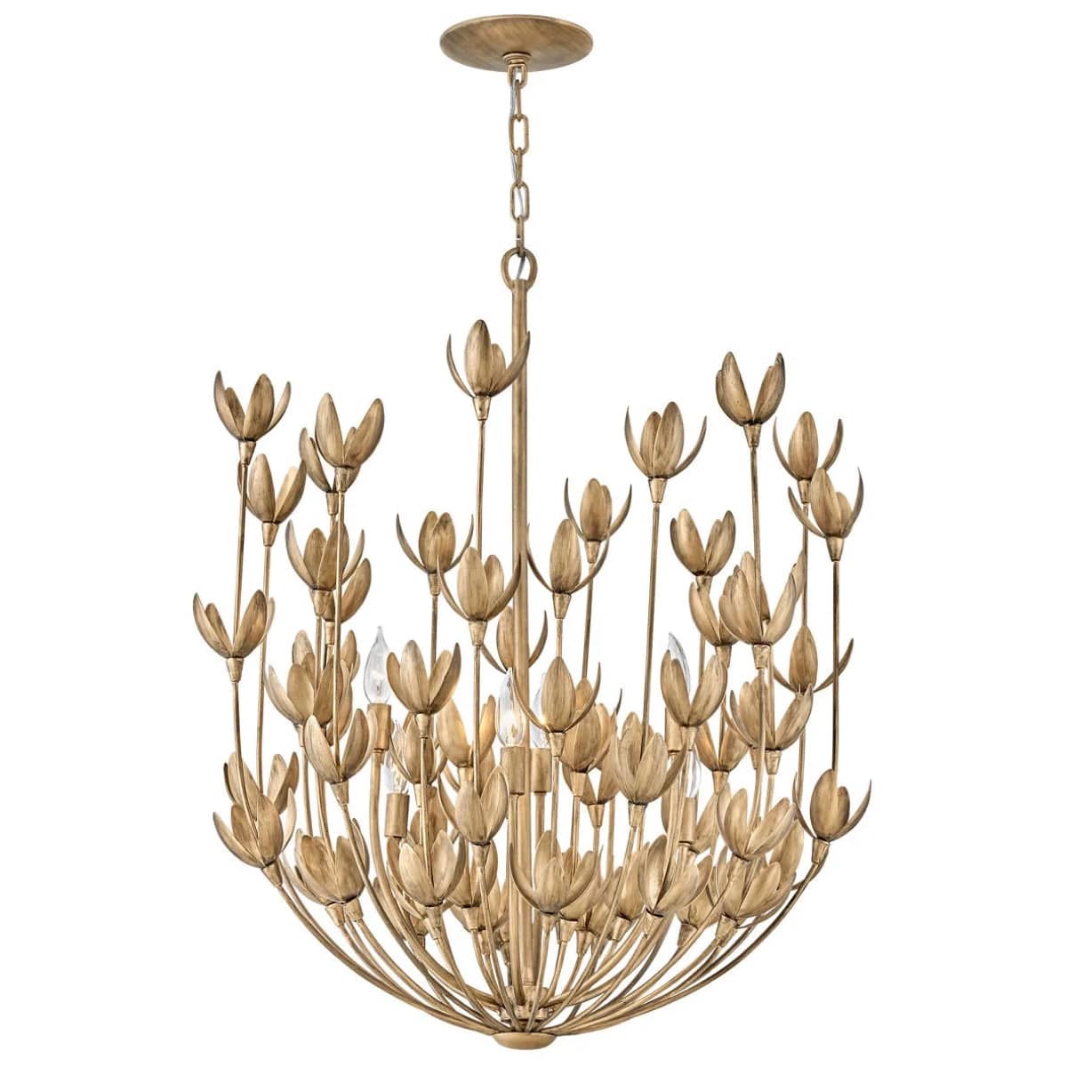 Hinkley Lighting Flora Multi Tier Chandelier Lighting