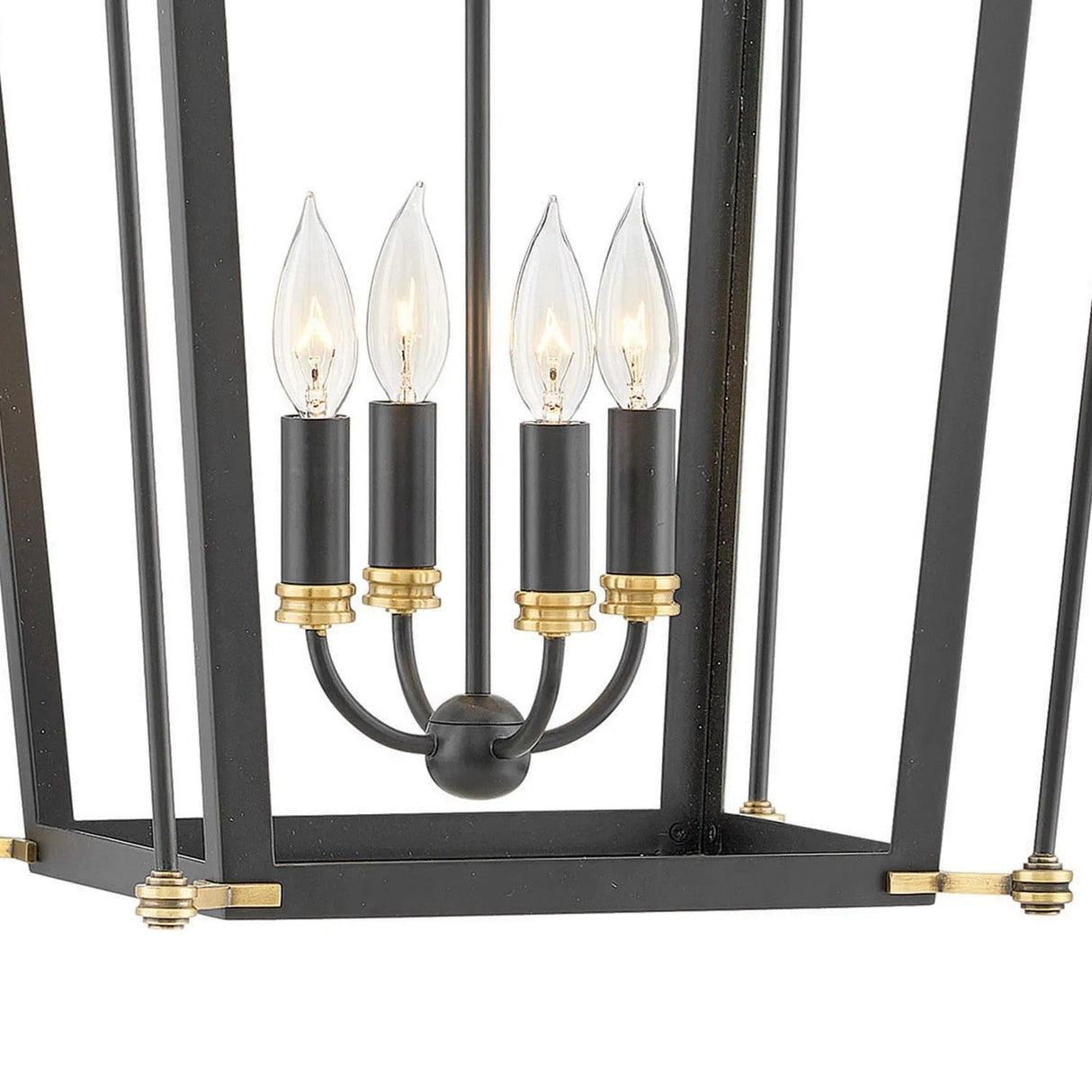 Hinkley Lighting Selby Pendant Lighting
